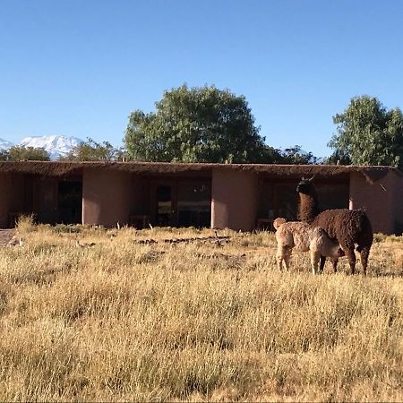 Eco-Lodge El Andinista San Pedro de Atacama Dış mekan fotoğraf
