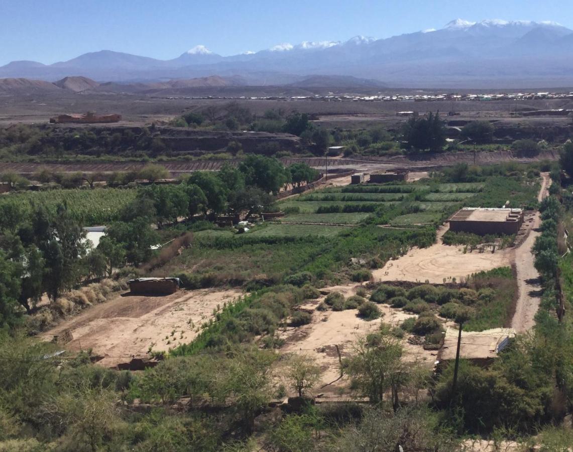 Eco-Lodge El Andinista San Pedro de Atacama Dış mekan fotoğraf