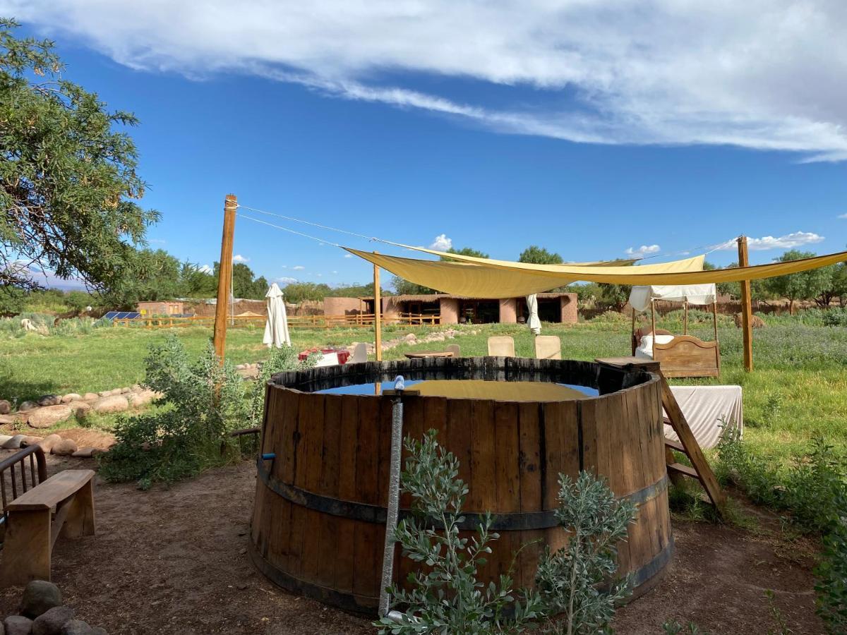 Eco-Lodge El Andinista San Pedro de Atacama Dış mekan fotoğraf