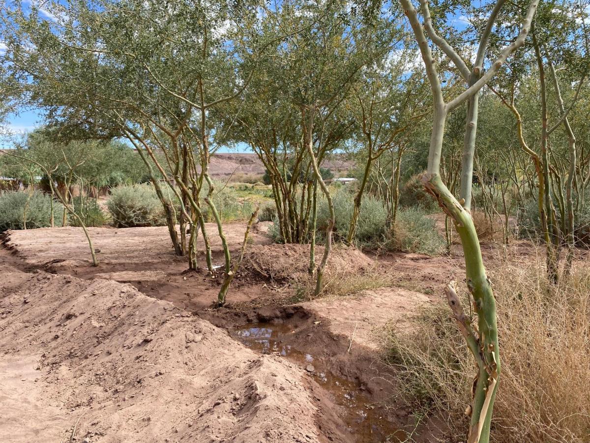 Eco-Lodge El Andinista San Pedro de Atacama Dış mekan fotoğraf