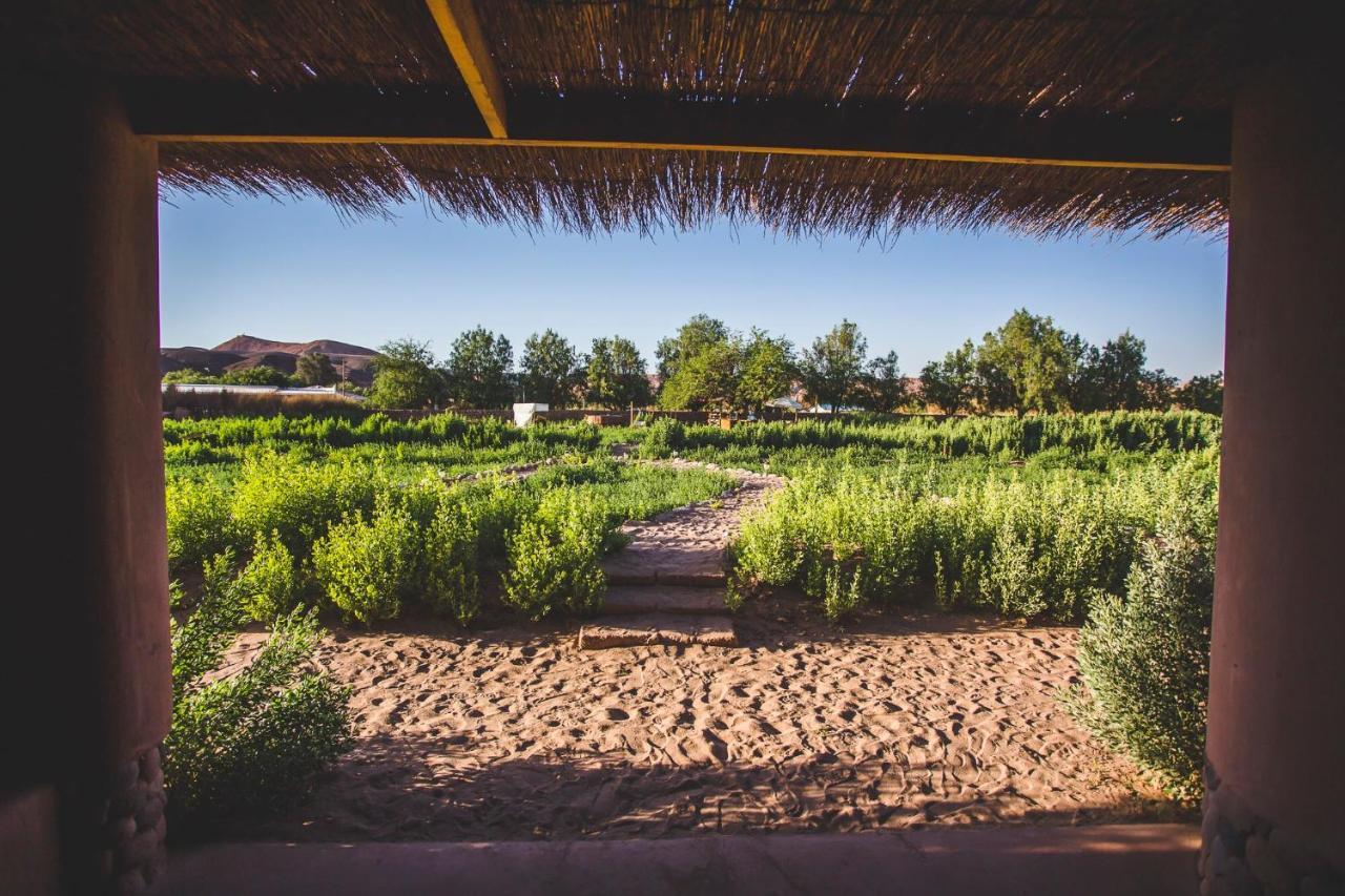 Eco-Lodge El Andinista San Pedro de Atacama Dış mekan fotoğraf
